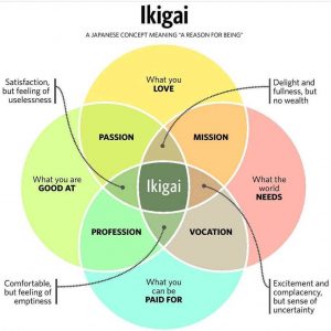 Ikigai your Coaching Niche